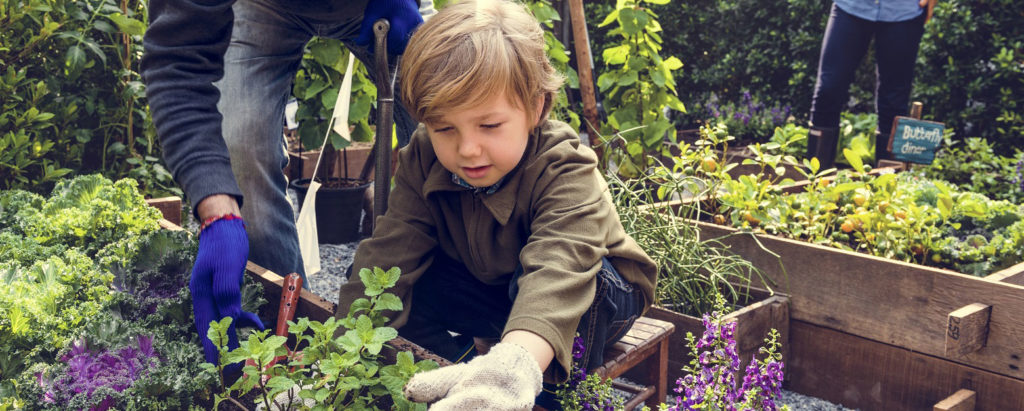 Camping ouvert à l’année avec potager partagé