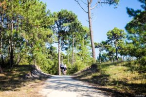 pistes cyclables forêt vendée