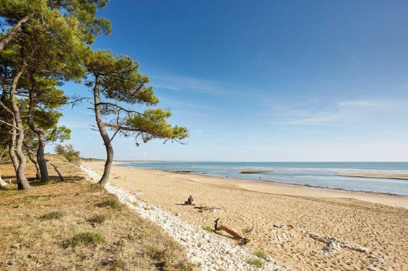 Camping proche plage de St Hilaire de Riez