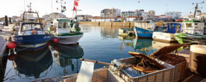 proche de la plage et des ports de vendee